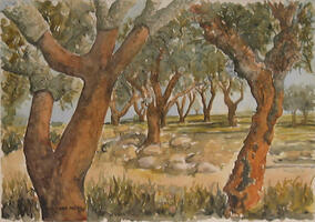 Sobreiros do Alentejo
