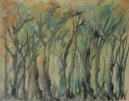Floresta