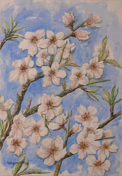Flores de amendoeira