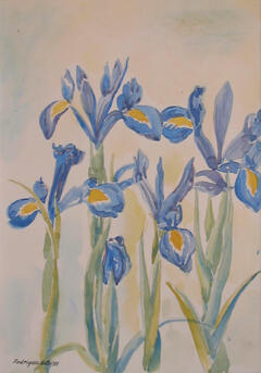 Flores