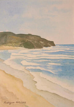Praia do Amado - Aljezur