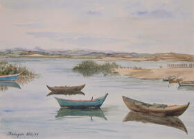 Barcos