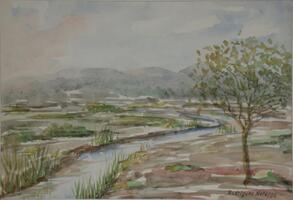 Barrocal algarvio