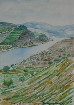 Paisagem do Douro