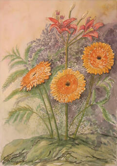 Flores