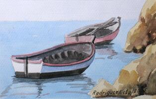 Barcos