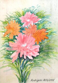 Flores