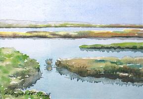 Ria Formosa
