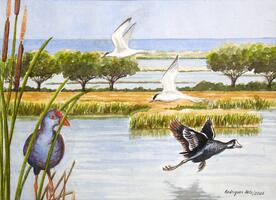 Ria Formosa